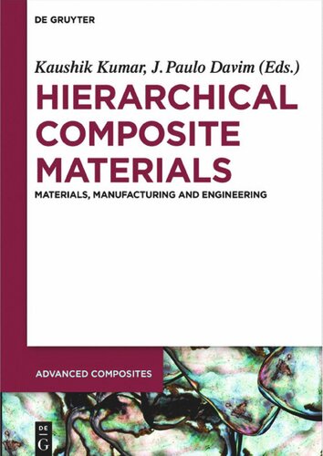 Hierarchical Composite Materials: Materials, Manufacturing, Engineering