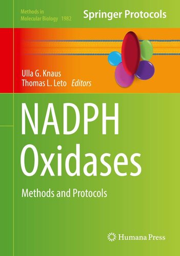 NADPH Oxidases: Methods and Protocols (Methods in Molecular Biology, 1982)