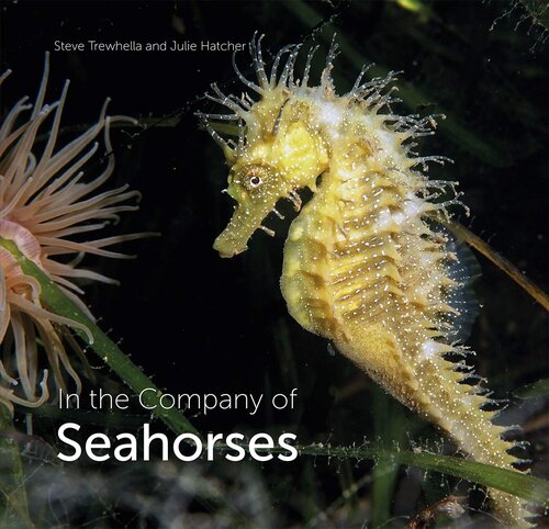 In the Company of Seahorses (Wild Nature Press)
