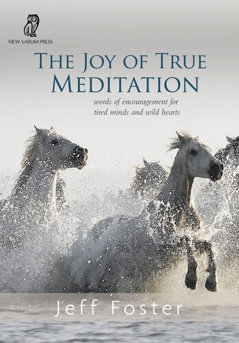 The Joy of True Meditation: Words of Encouragement for Tired Minds and Wild Hearts