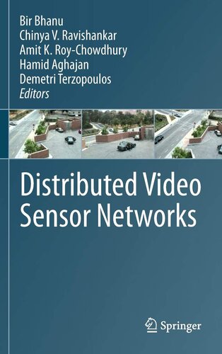 Distributed Video Sensor Networks