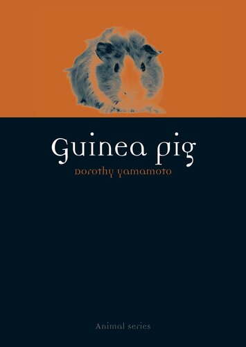 Guinea Pig (Animal)