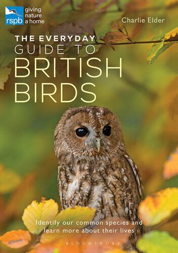 The Everyday Guide to British Birds: Identify our common species and learn more about their lives (RSPB Spotlight)