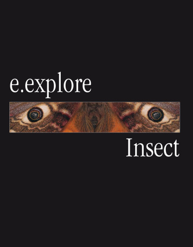 E.Explore: Insects