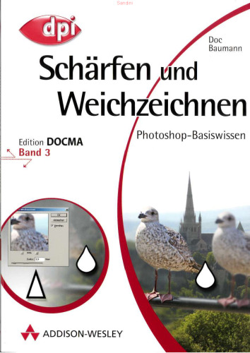 Photoshop-Basiswissen. Scharfen und Weichzeichnen. Band 3 (Edition DOCMA)