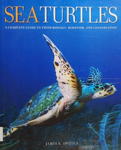 Sea Turtles: A Complete Guide to Their Biology, Behavior, and Conservation