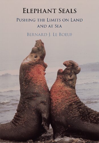Elephant Seals: Pushing the Limits on Land and at Sea