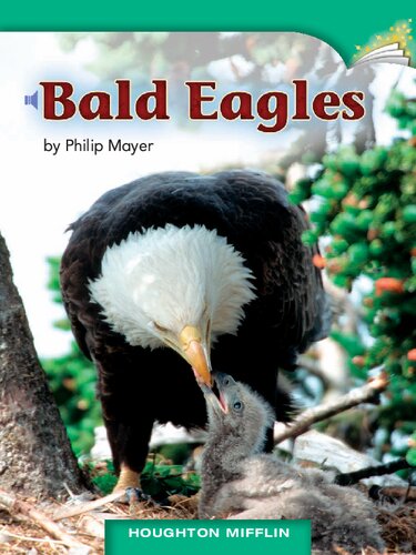 Bald Eagles