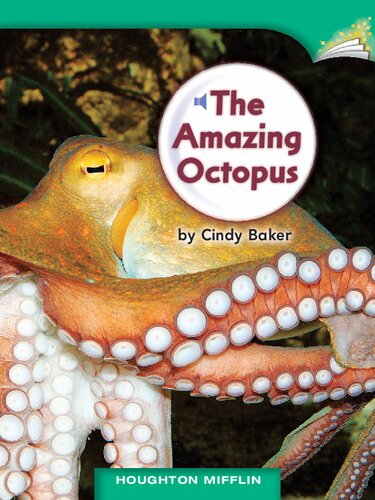 The Amazing Octopus