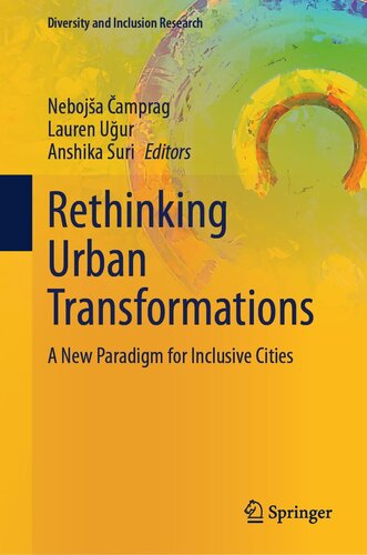 Rethinking Urban Transformations: A New Paradigm for Inclusive Cities (Diversity and Inclusion Research)