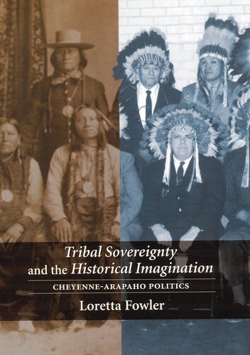 Tribal sovereignty and the historical imagination: Cheyenne-Arapaho politics