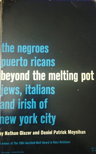 Beyond the melting pot: the Negroes, Puerto Ricans, Jews, Italians, and Irish of New York City