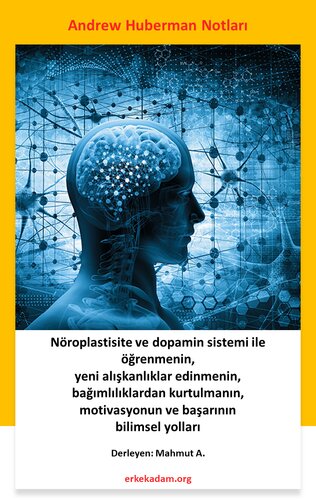 Nöroplastiste ve dopamin sistemi ile beyni yeniden kablolama