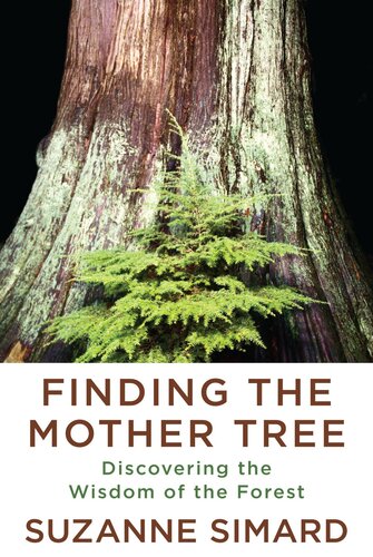 Finding the Mother Tree : Discovering the Wisdom of the Forest