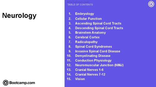 Neurology Bootcamp.com