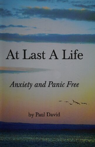At Last A Life  ( Anxiety and Panic Free ) by Paul David