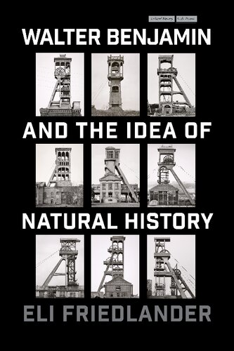 Walter Benjamin and the Idea of Natural History (Cultural Memory in the Present)