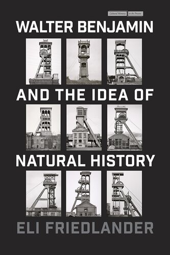 Walter Benjamin and the Idea of Natural History (Cultural Memory in the Present)