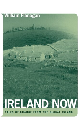 Ireland Now: Tales of Change from the Global Island