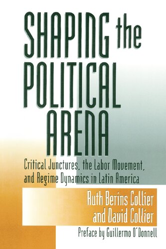 Shaping the Political Arena (Kellogg Institute Series on Democracy and Development)