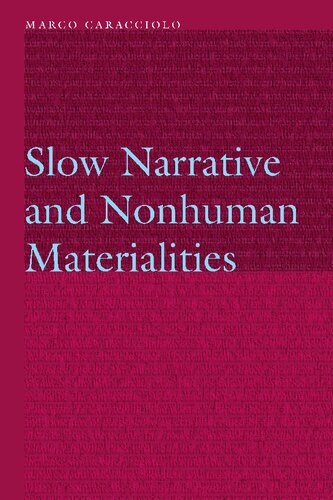 Slow Narrative and Nonhuman Materialities (Frontiers of Narrative)