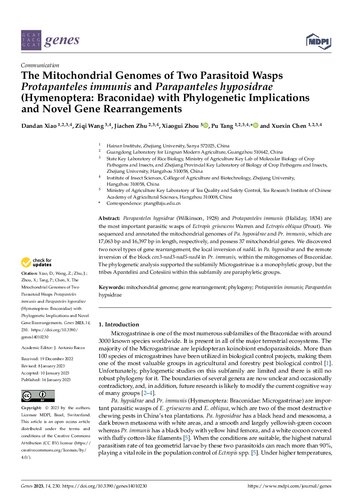 The Mitochondrial Genomes of Two Parasitoid Wasps Protapanteles immunis and Parapanteles hyposidrae (Hymenoptera: Braconidae) with Phylogenetic Implications and Novel Gene Rearrangements