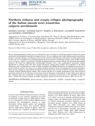 Northern richness and cryptic refugia: phylogeography of the Italian smooth newt Lissotriton vulgaris meridionalis