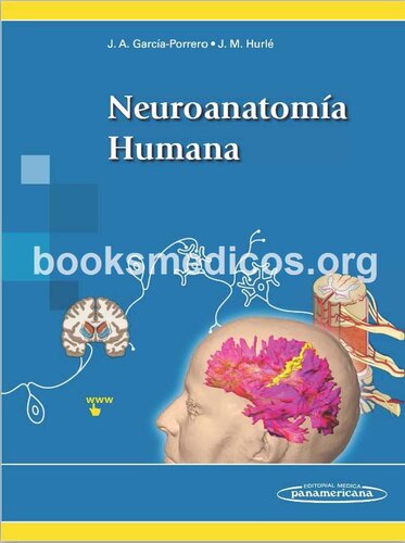 Neuroanatomía Humana