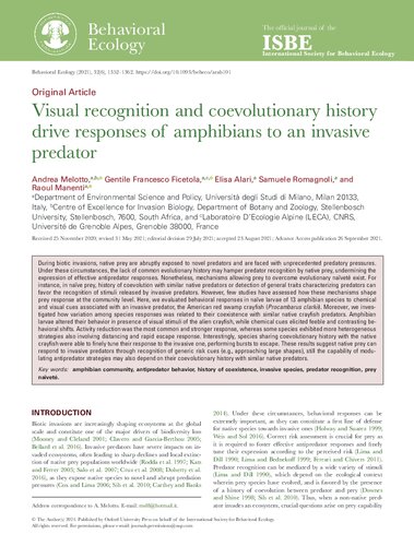 Visual recognition and coevolutionary history drive responses of amphibians to an invasive predator