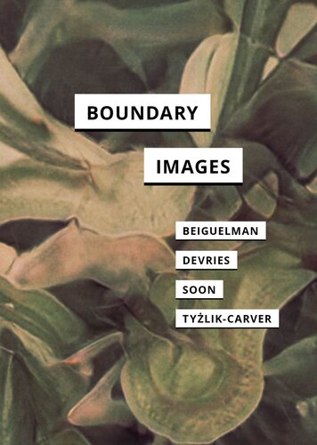 Boundary Images (In Search of Media)
