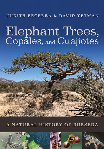 Elephant Trees, Copales, and Cuajiotes: A Natural History of Bursera