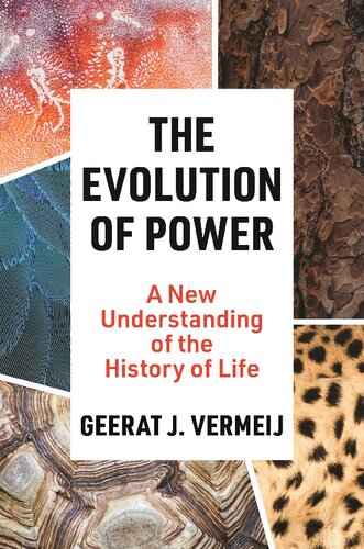 The Evolution of Power: A New Understanding of the History of Life