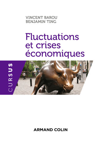 Fluctuations et crises économiques