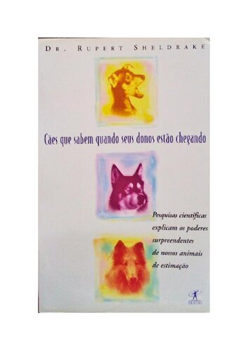 Cães que sabem quando seus donos estão chegando