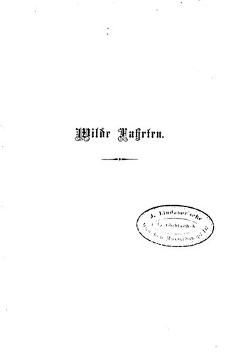 Wilde Fahrten. Erinnerungsblätter aus dem Amerikanischen Bürgerkriege