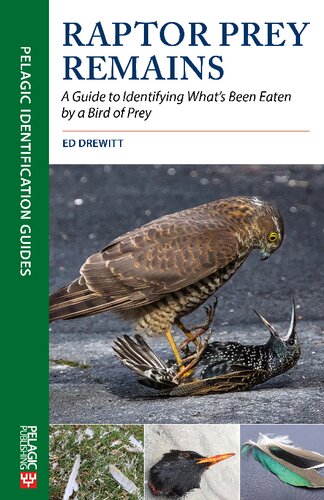 Raptor Prey Remains: A Guide to Identifying What’s Been Eaten by a Bird of Prey