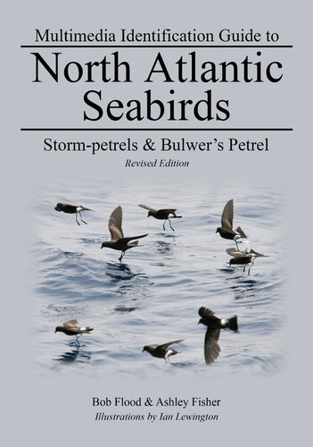 Storm-Petrels and Bulwer's Petrel