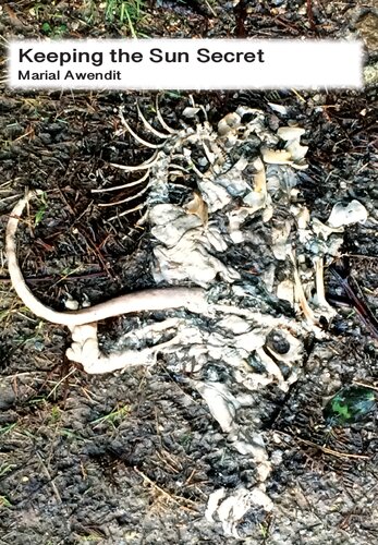 Keeping the Sun Secret: Poems