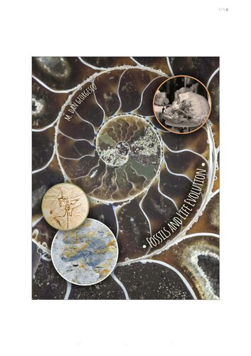 Fossils and Life Evolution