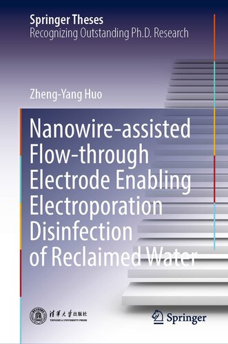 Nanowire-assisted Flow-through Electrode Enabling Electroporation Disinfection of Reclaimed Water (Springer Theses)