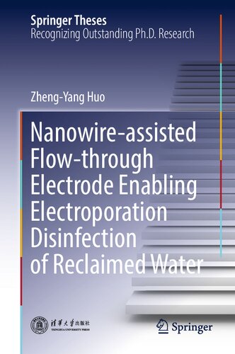 Nanowire-assisted Flow-through Electrode Enabling Electroporation Disinfection of Reclaimed Water (Springer Theses)