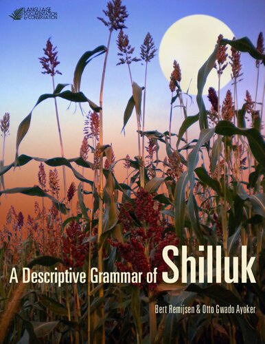 A Descriptive Grammar of Shilluk