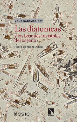 Las diatomeas y los bosques invisibles del océano