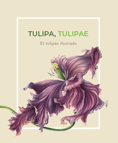 Tulipa tulipae : el tulipán ilustrado