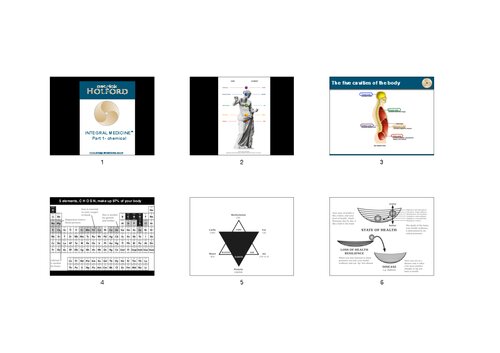 Patrick Holford - Optimum Nutrition Presentation for Integral Medicine ( Orthomolecular Medicine )