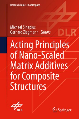 Acting Principles of Nano-Scaled Matrix Additives for Composite Structures (Research Topics in Aerospace)