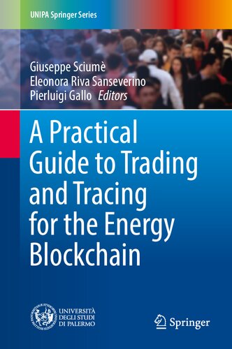 A Practical Guide to Trading and Tracing for the Energy Blockchain (UNIPA Springer Series)