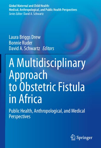 A Multidisciplinary Approach to Obstetric Fistula in Africa: Public Health, Anthropological, and Medical Perspectives (Global Maternal and Child Health)