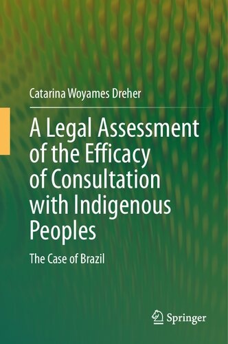 A Legal Assessment of the Efficacy of Consultation with Indigenous Peoples: The Case of Brazil