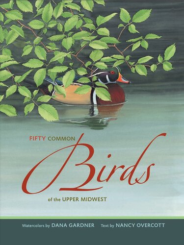 Fifty Common Birds of the Upper Midwest